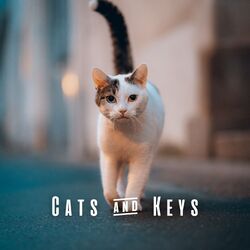 Cover of Cats & Keys: Harmonious Piano Melodies