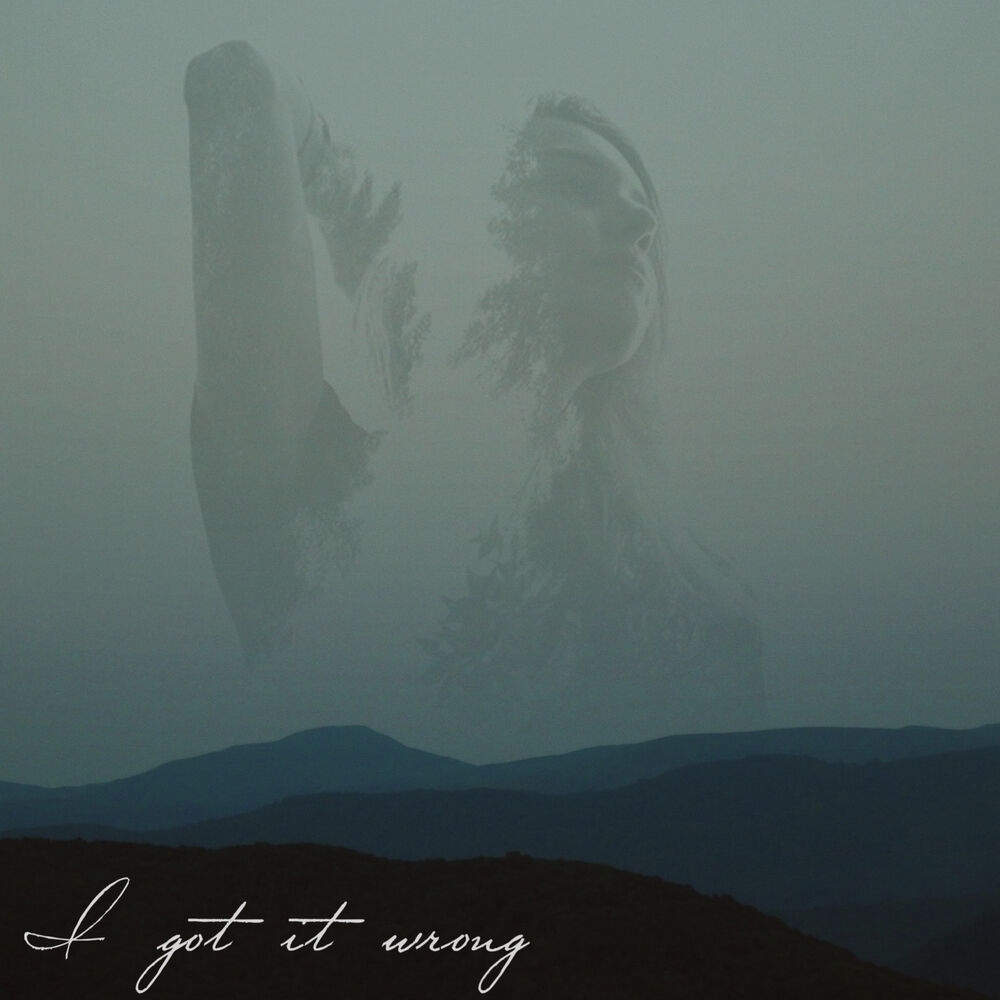 Picture of I Got It Wrong