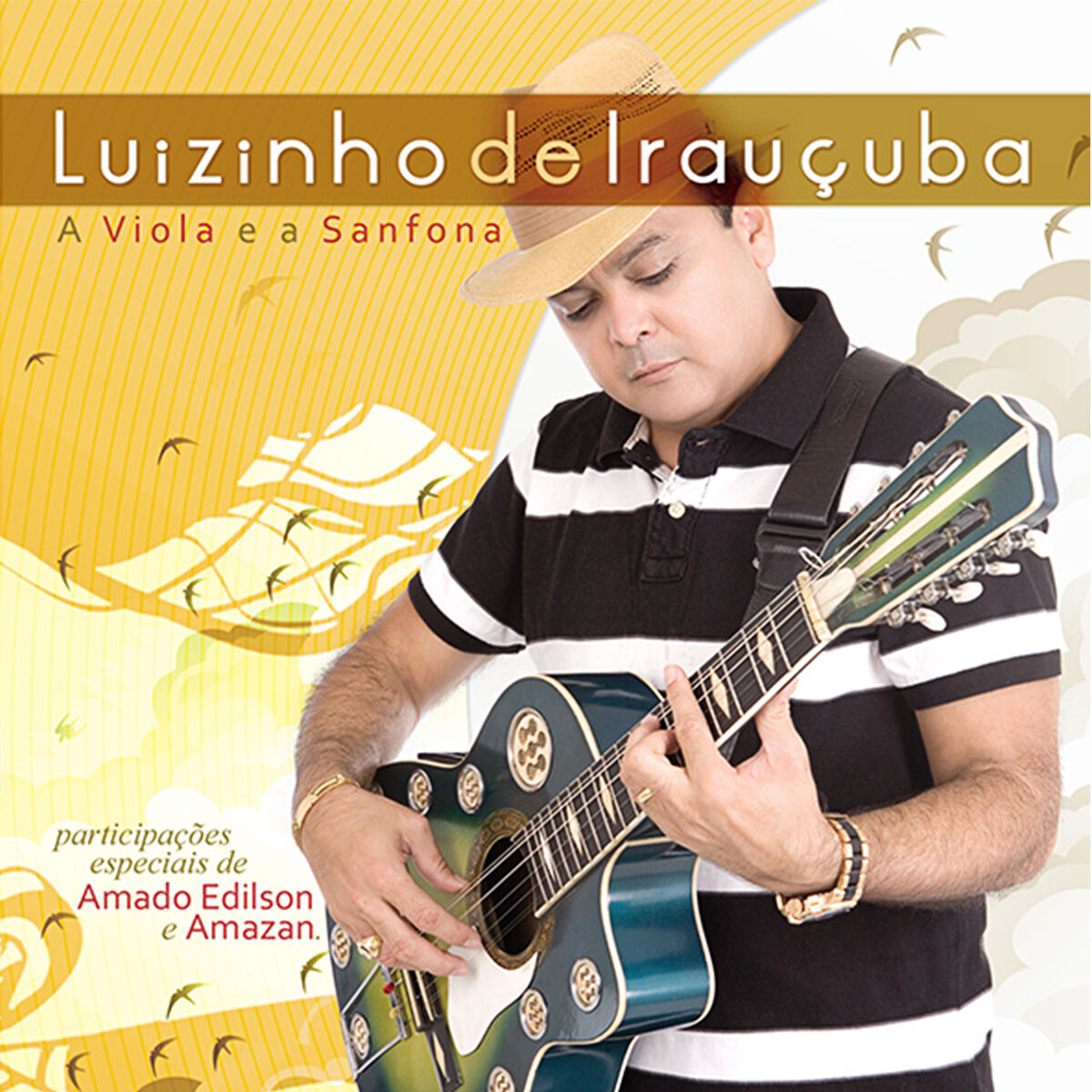 Album cover of A Viola e a Sanfona