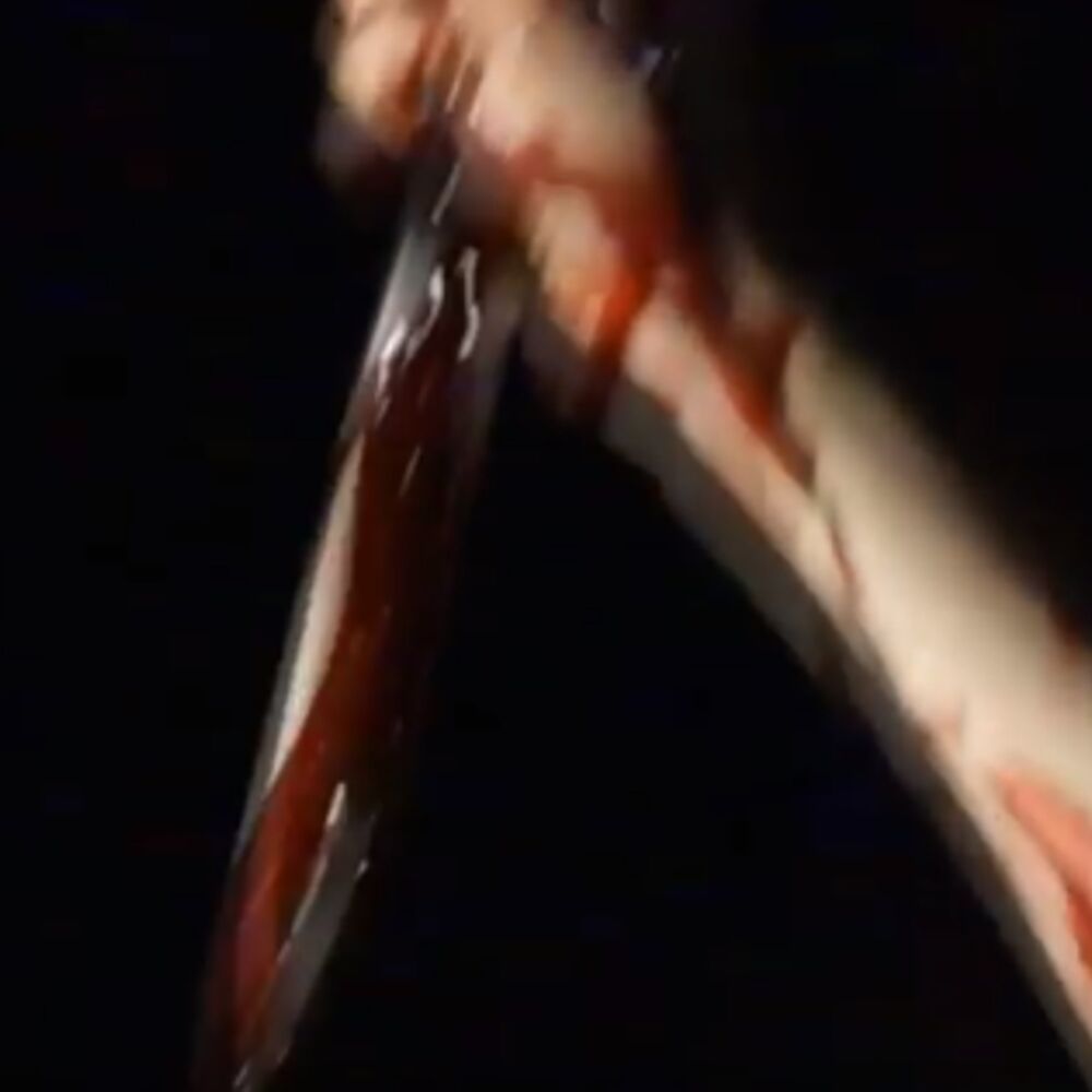 Picture of Seu Som É Ruim e Sua Mina Racista