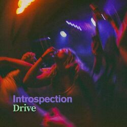 Introspection Drive (instrumental)
