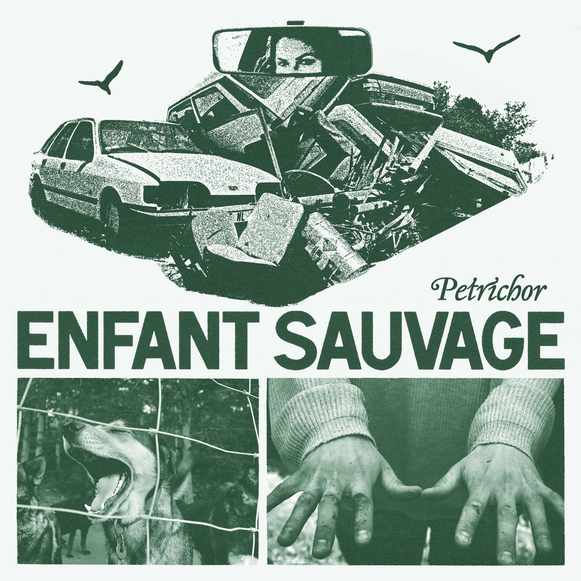 Album cover of Force Field