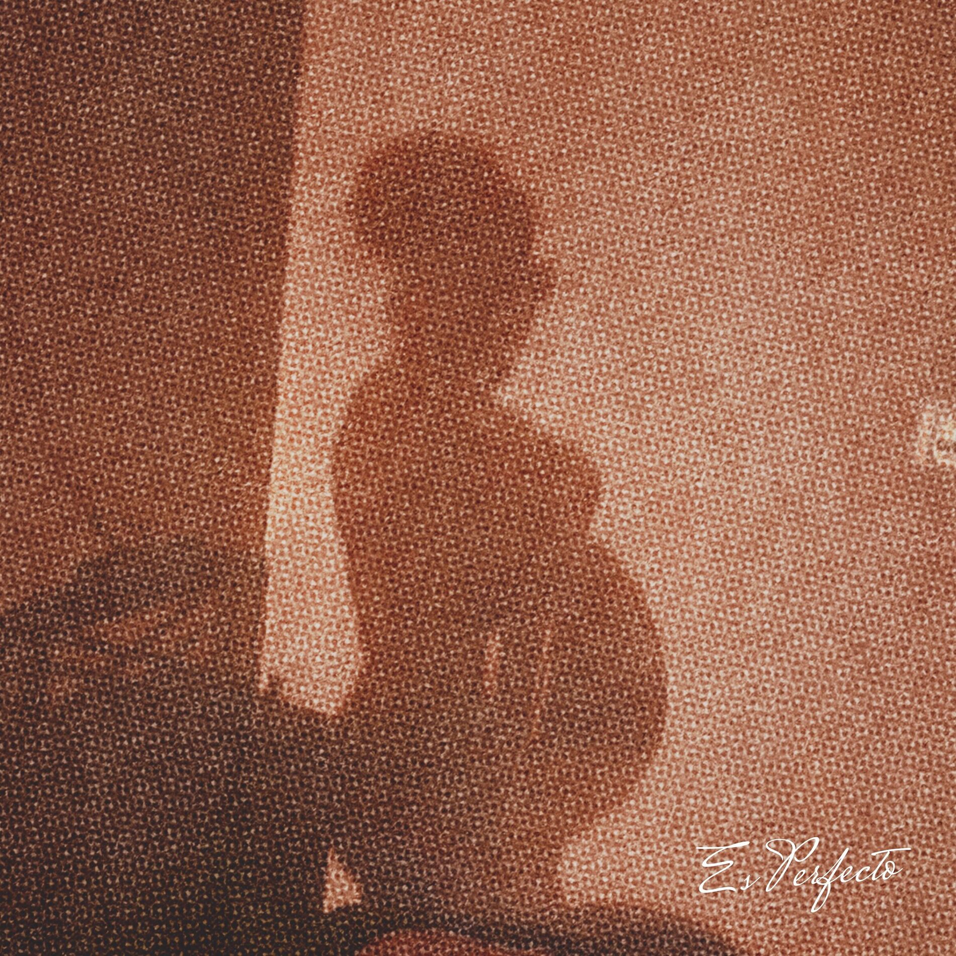 Album cover of Es Perfecto