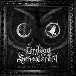 Cover of Concrete