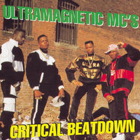 【名盤・レア】Ultramagnetic MC's レコード10枚 名盤・レア】Ultramagnetic MC's レコード10枚 名盤・レア