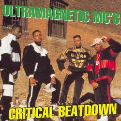 Cover of Critical Beatdown