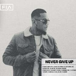 Cover of Never Give Up