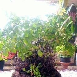 Cover of Di dunia punya cerita