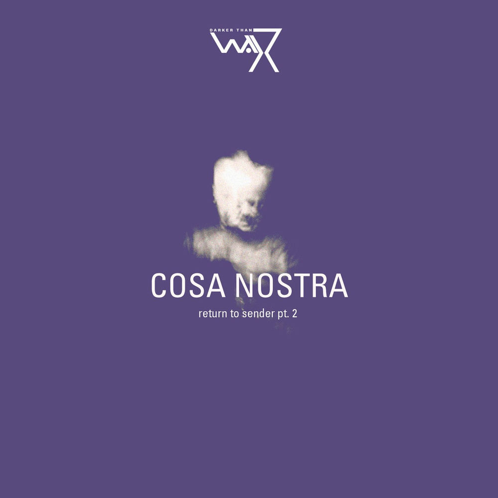 Album artwork for You Know What I Mean by Cosa Nostra