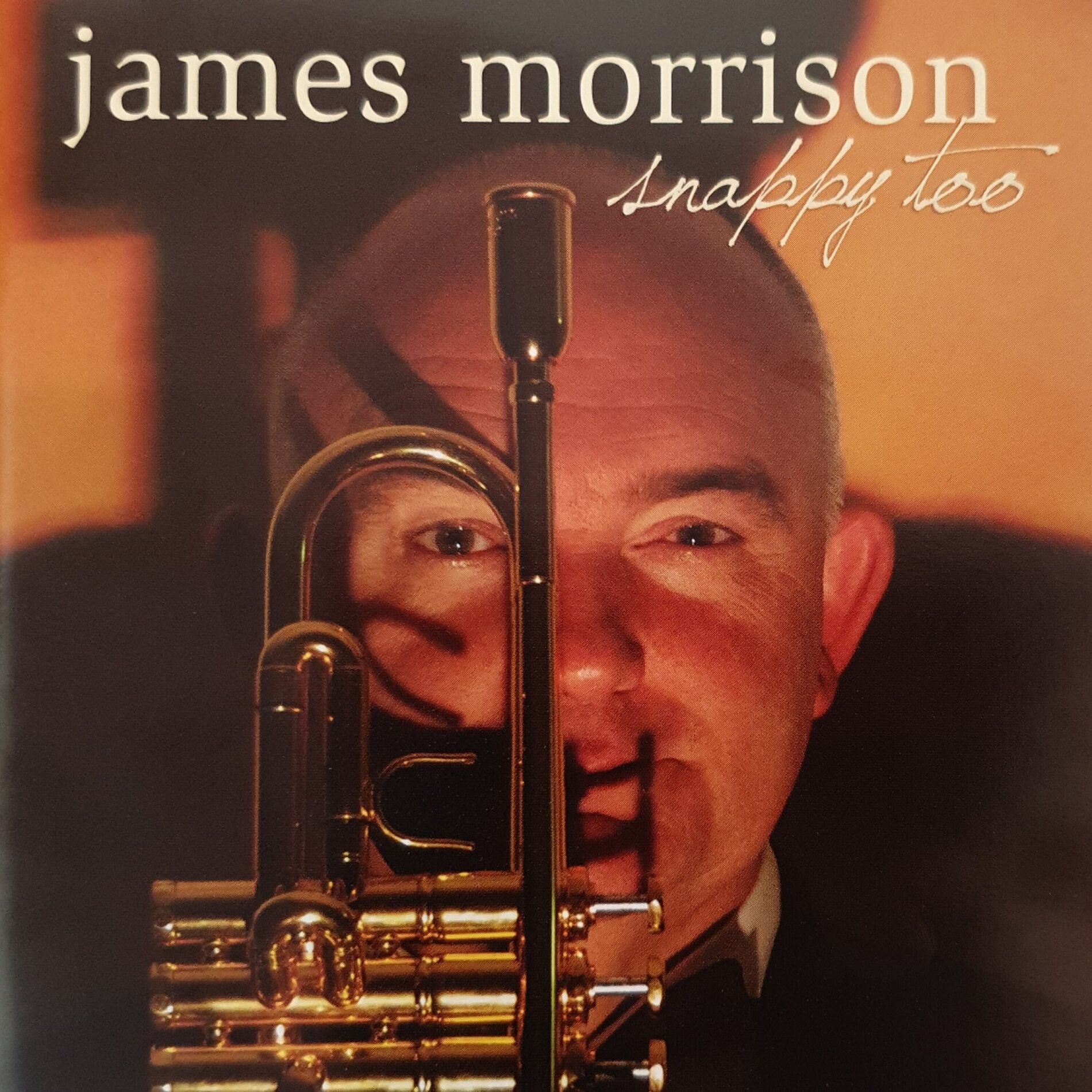 Album cover of The Master Plan