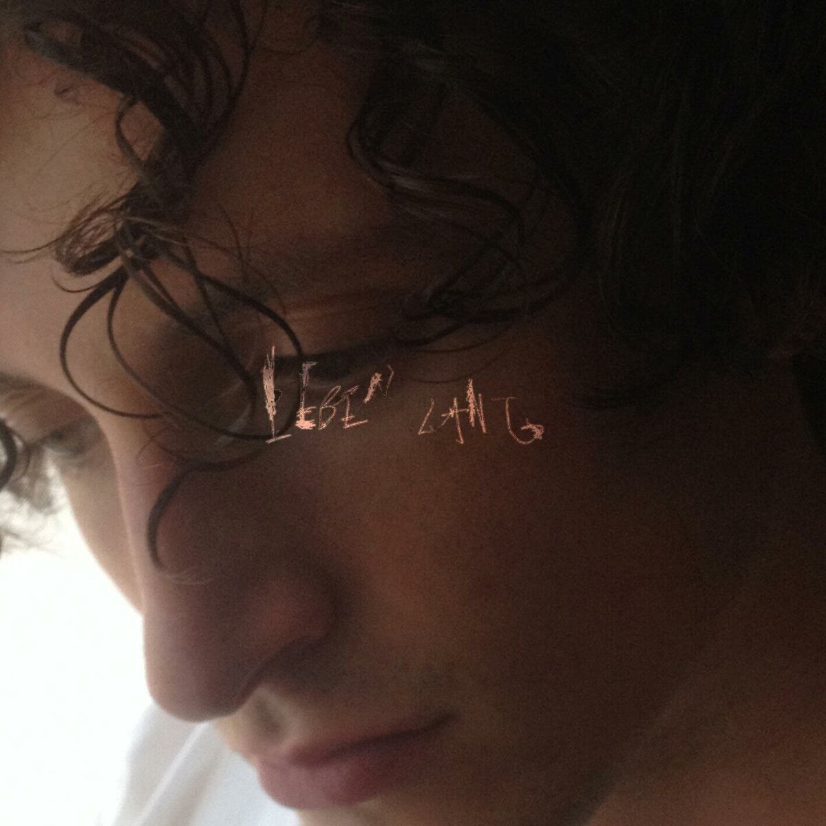 Album cover of leben lang