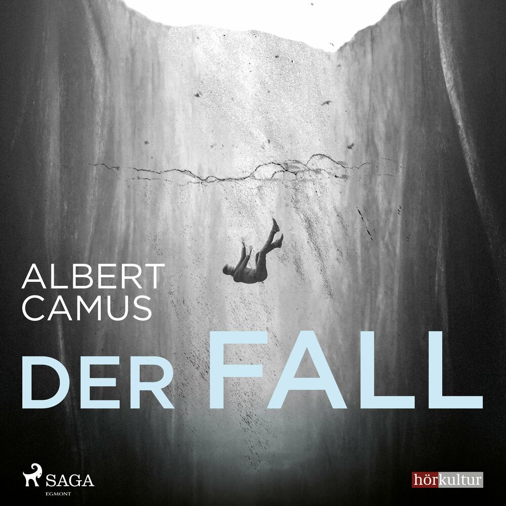 Picture of Der Fall