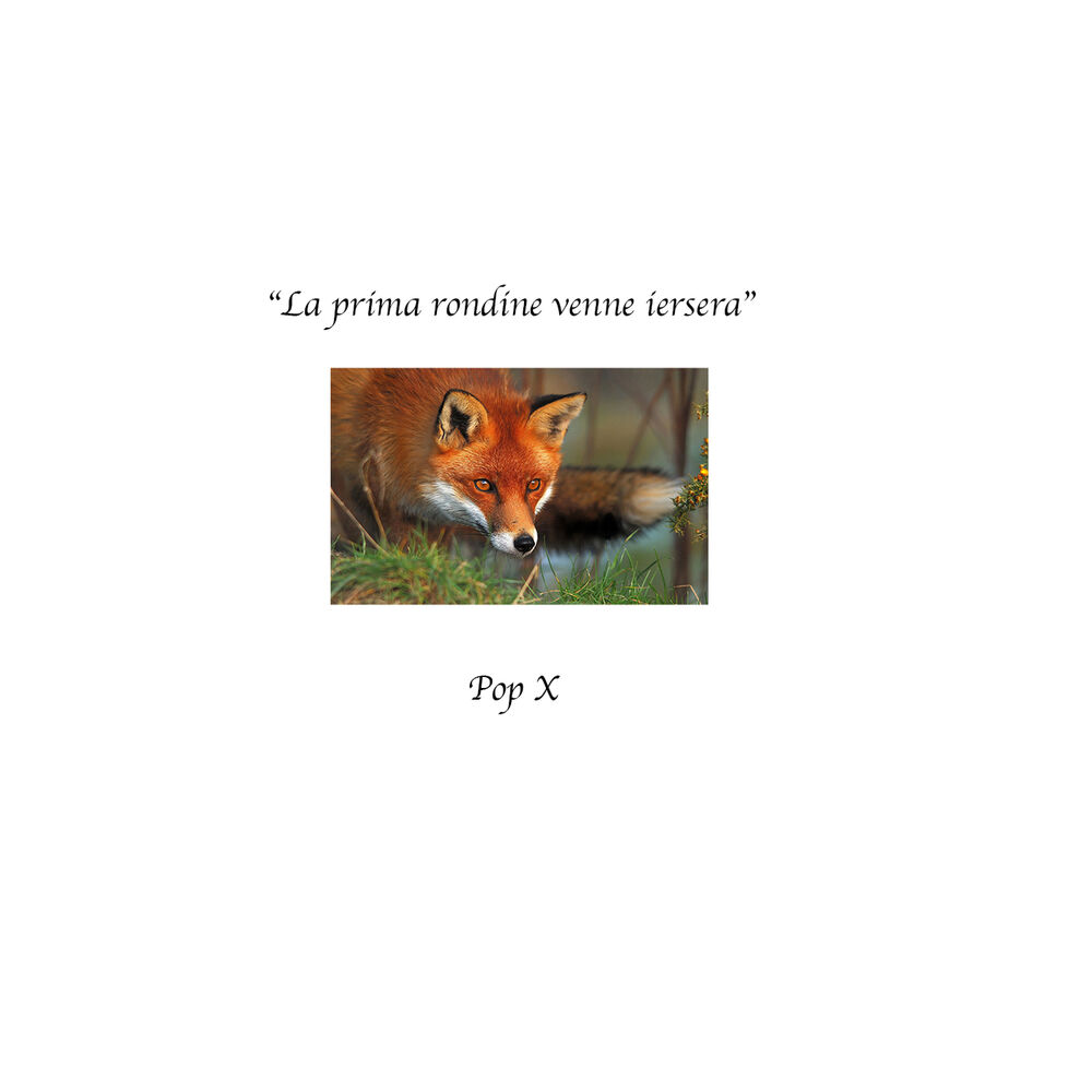 Picture of La Prima Rondine Venne Ier Sera