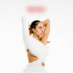 music cover