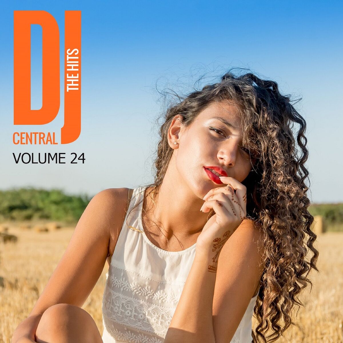 Album cover of The Hits Vol, 24