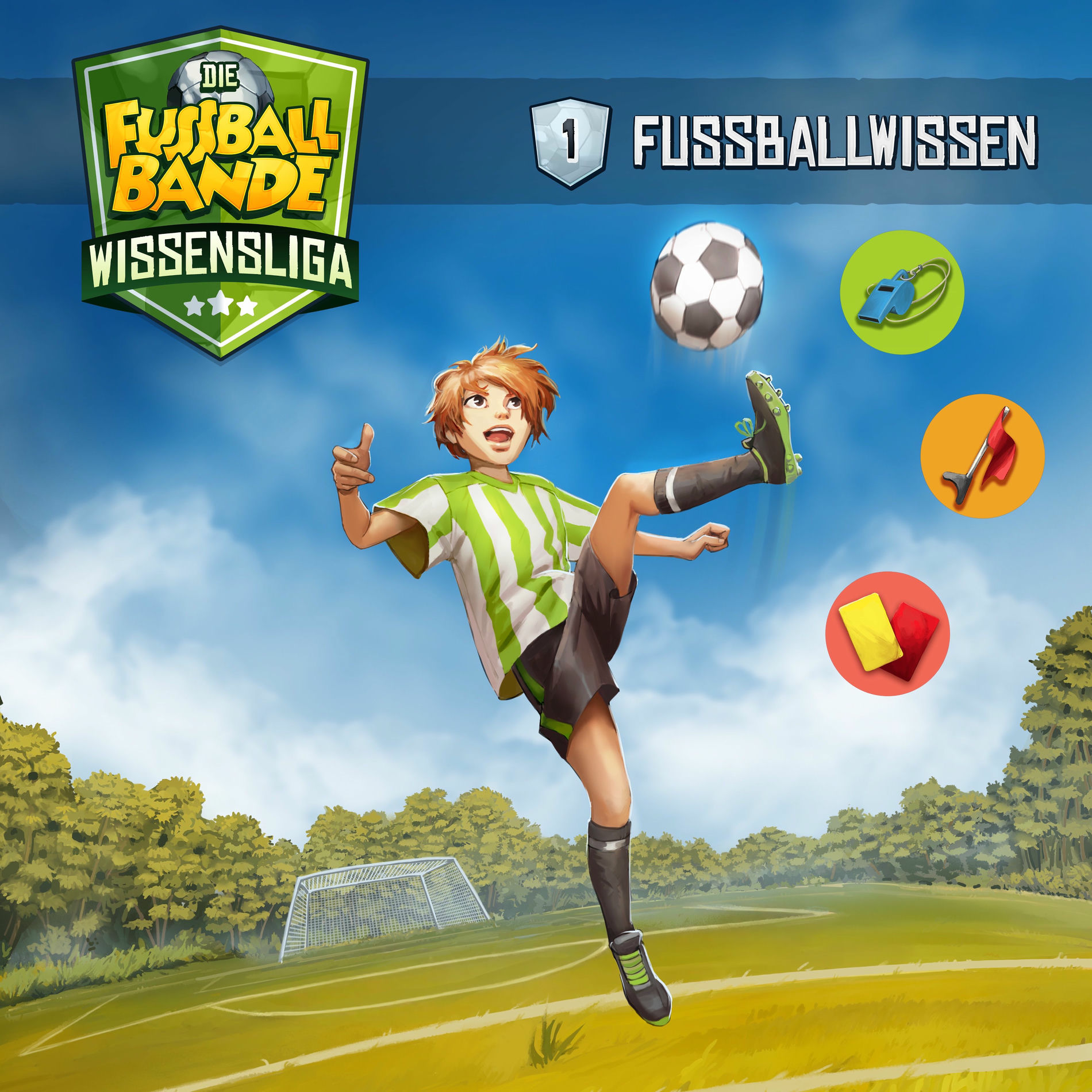 Album cover of Wir sind die Fussballbande
