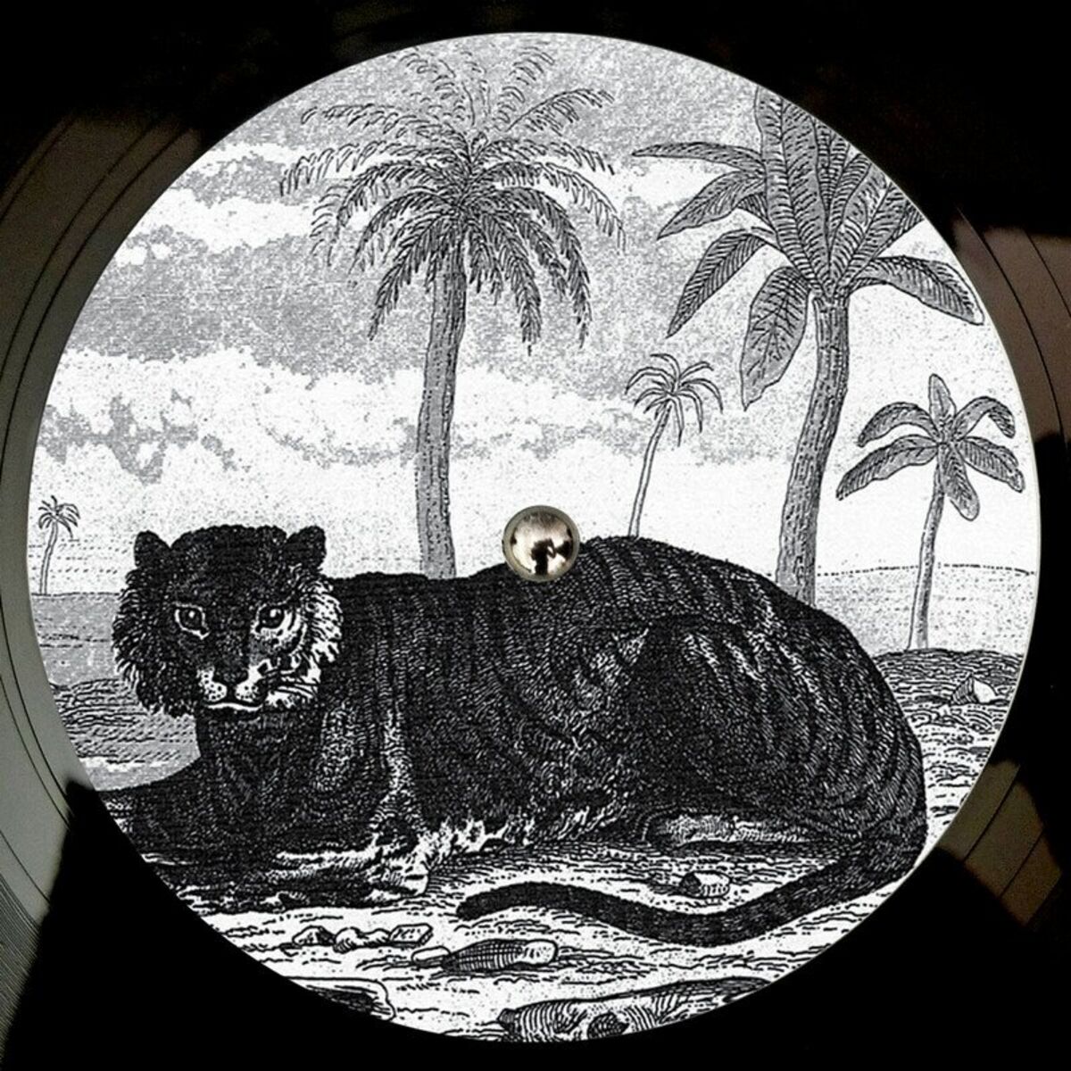 Album cover of In Public