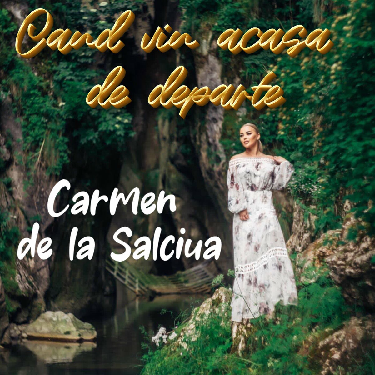 Album cover of Cand vin acasa de departe