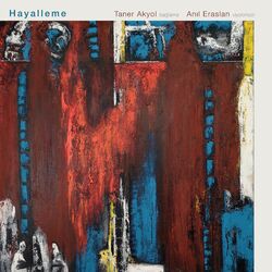 Cover of Hayalleme