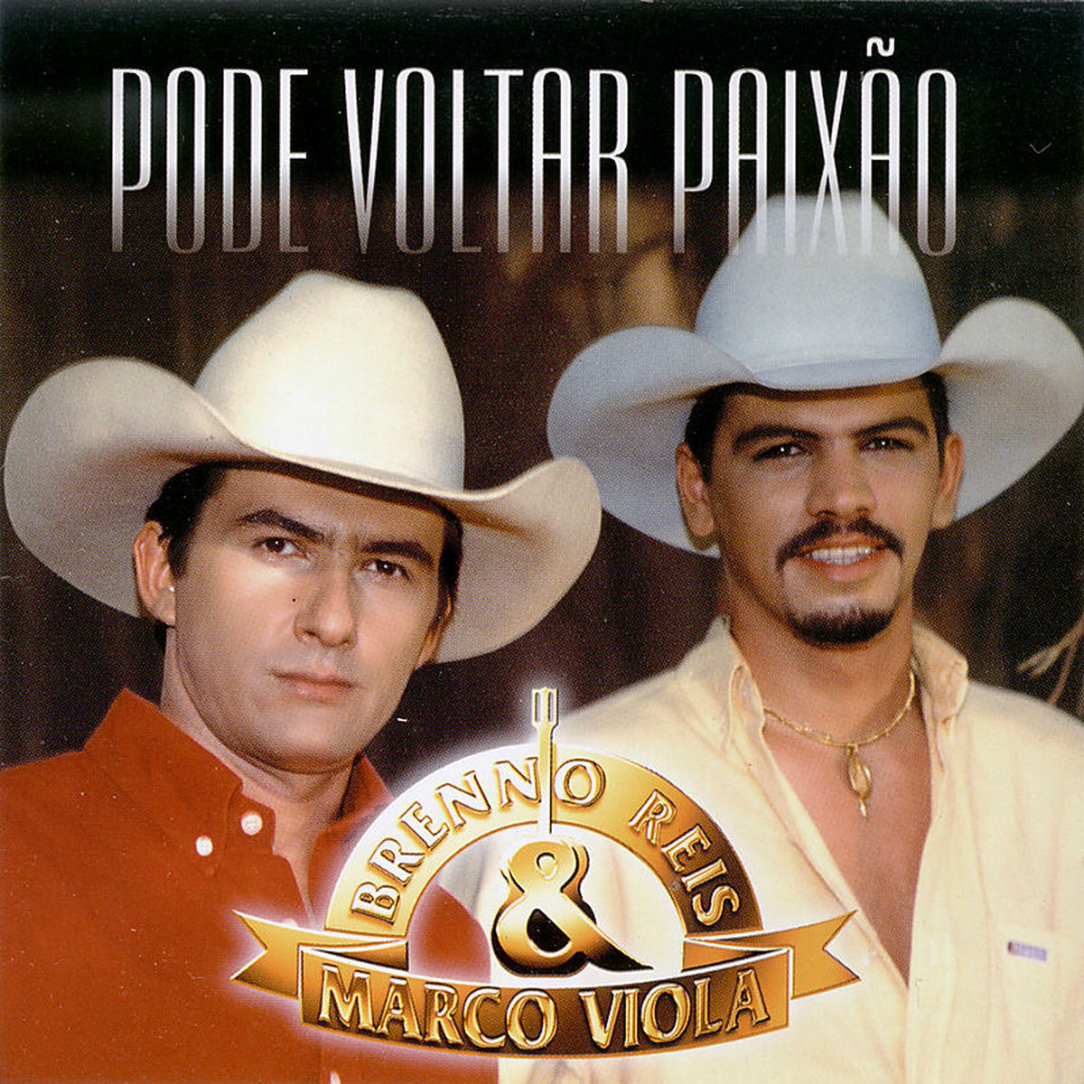 Album cover of Pode Voltar Paixão