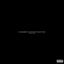 Cover of I'm Sorry I Couldn't Save You