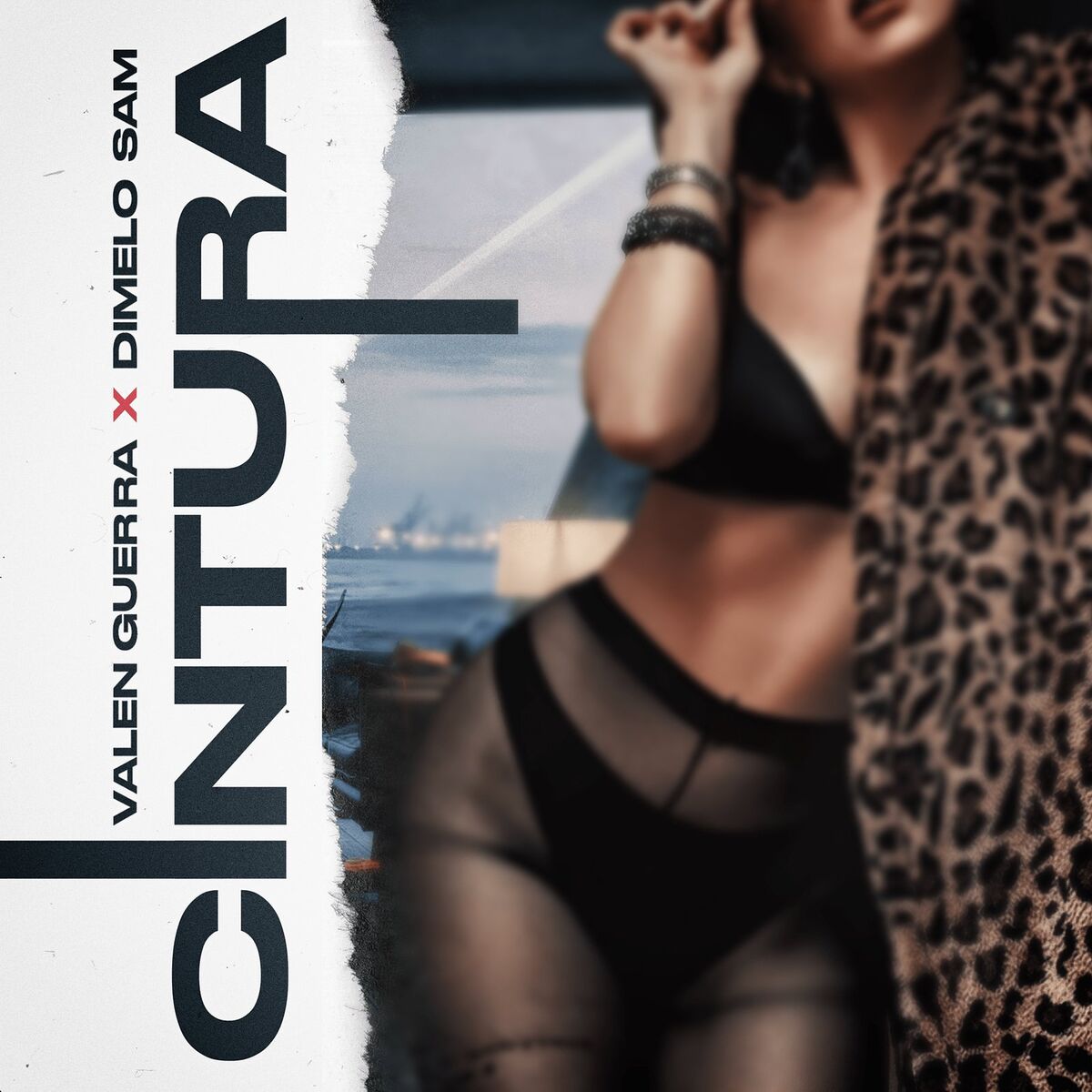 Album cover of Cintura