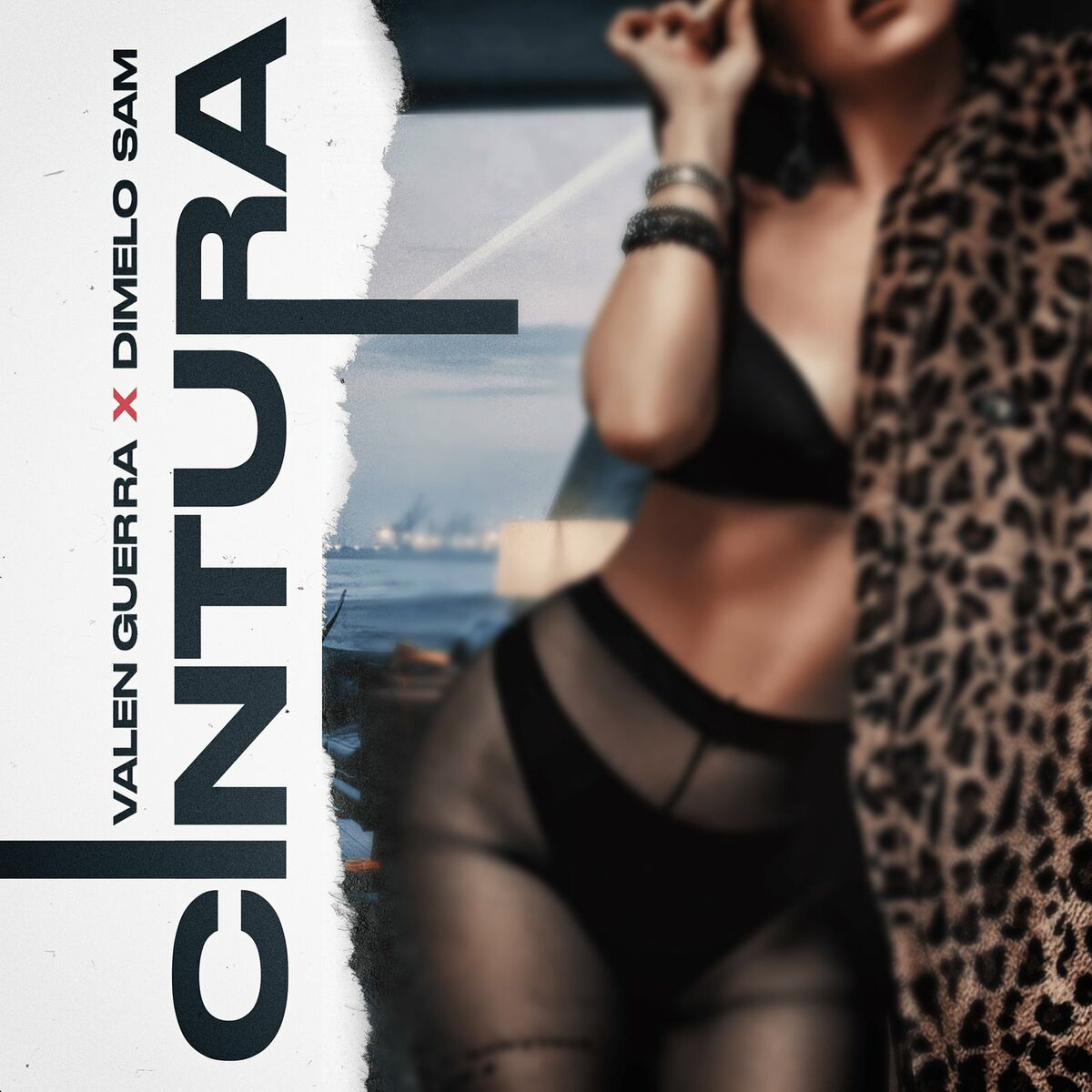 Album cover of Cintura