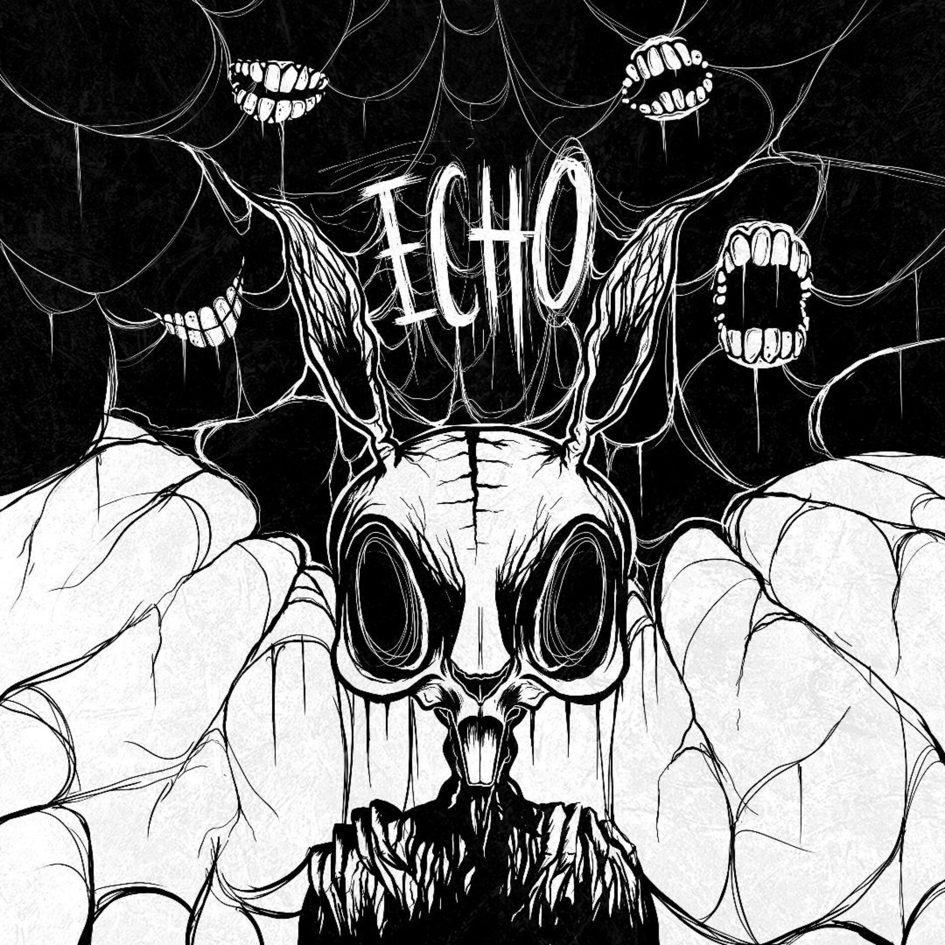 Album cover of Echo