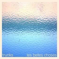 Cover of Les belles choses