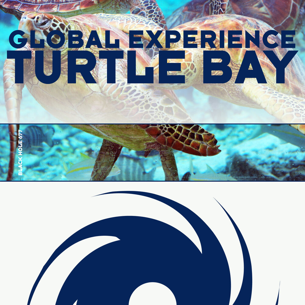 Picture of Turtle Bay