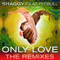 Cover of Only Love (The Remixes) (feat. Pitbull & Gene Noble)