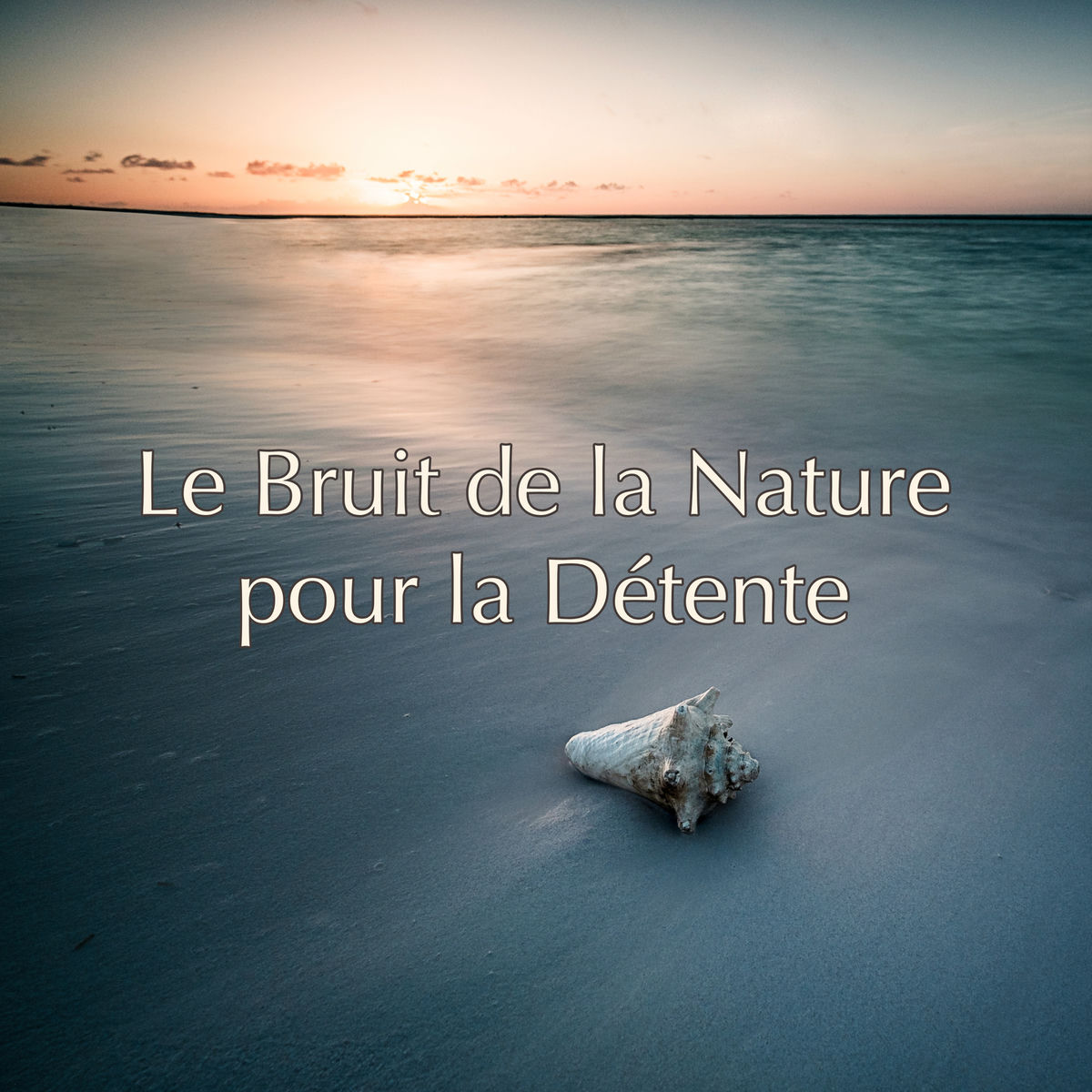 Album cover of Le bruit de la nature pour la détente: Musique douce et relaxante