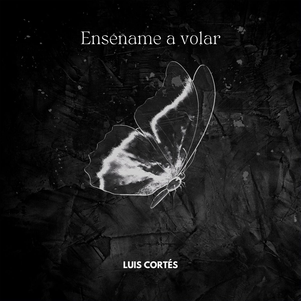Album cover of Enséñame a Volar