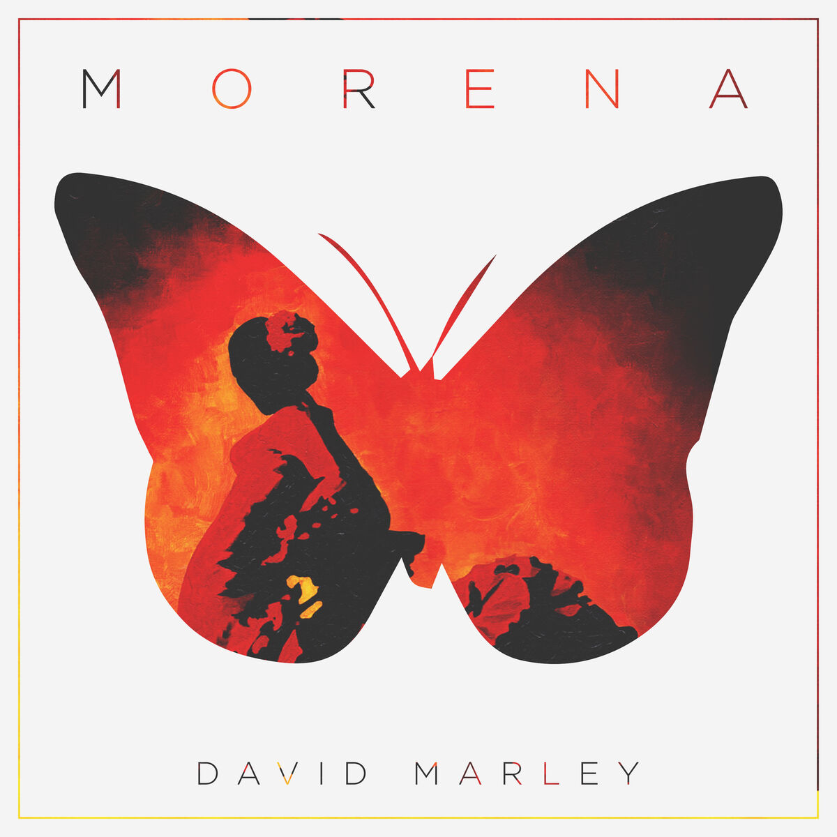 Album cover of Morena