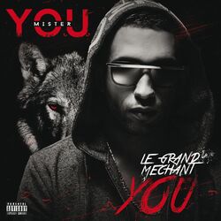 Cover of Le grand méchant You