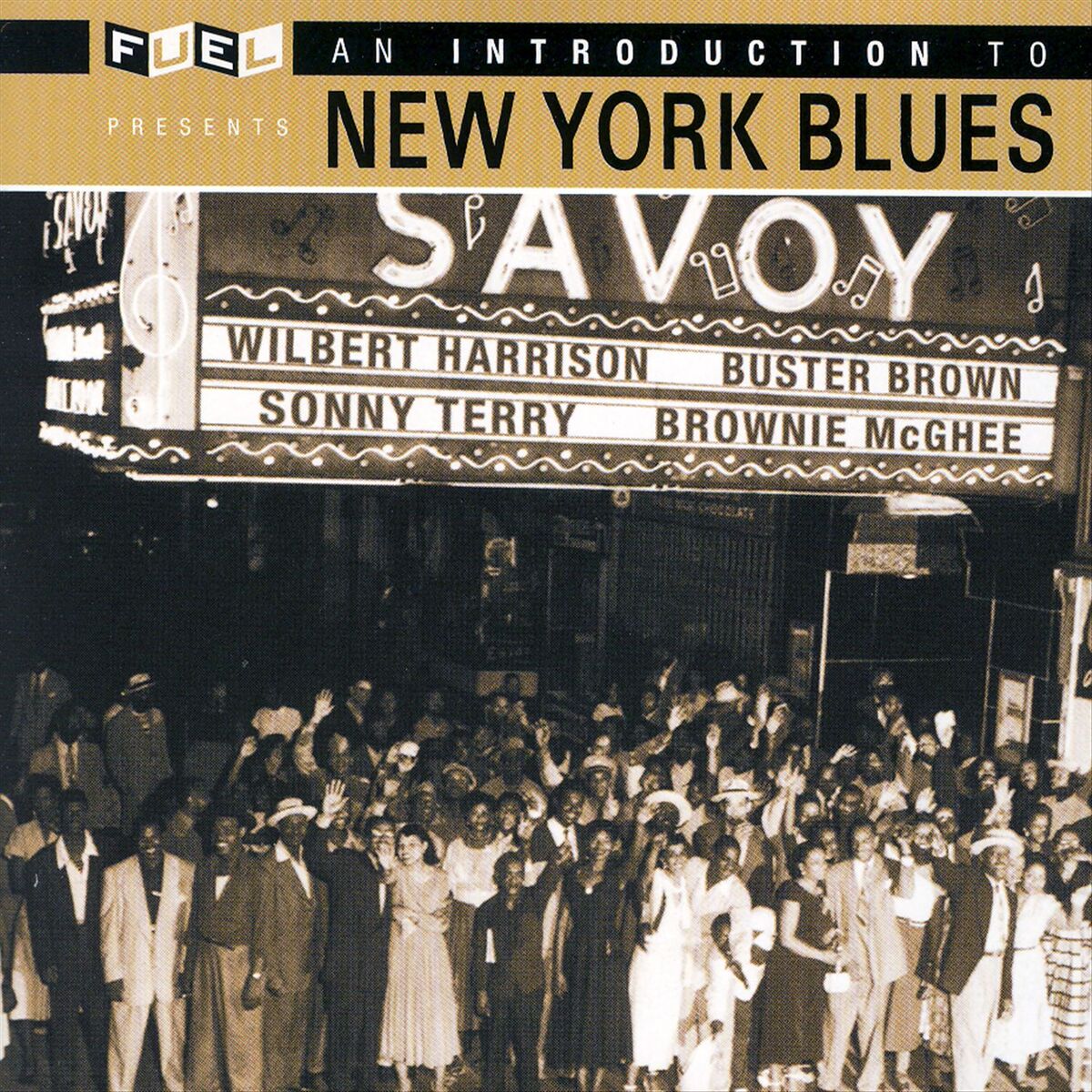 Album cover of An Introduction To New York Blues