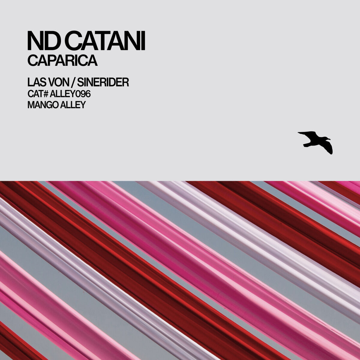 Album cover of Caparica