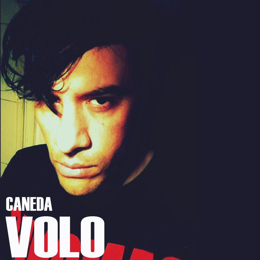 Picture of Volo