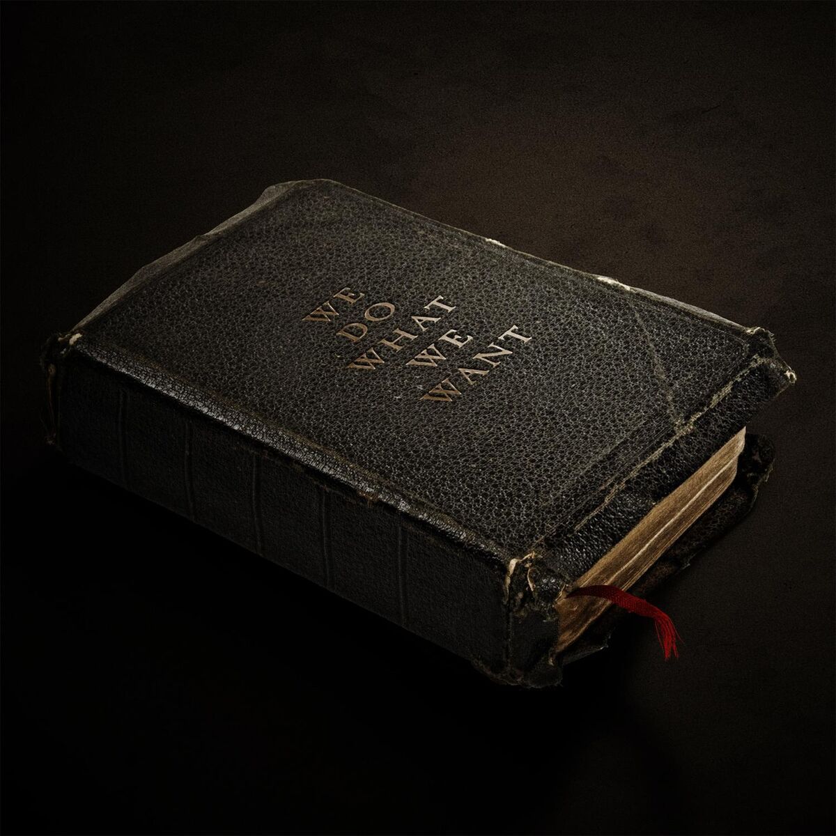 Album cover of We Do What We Want