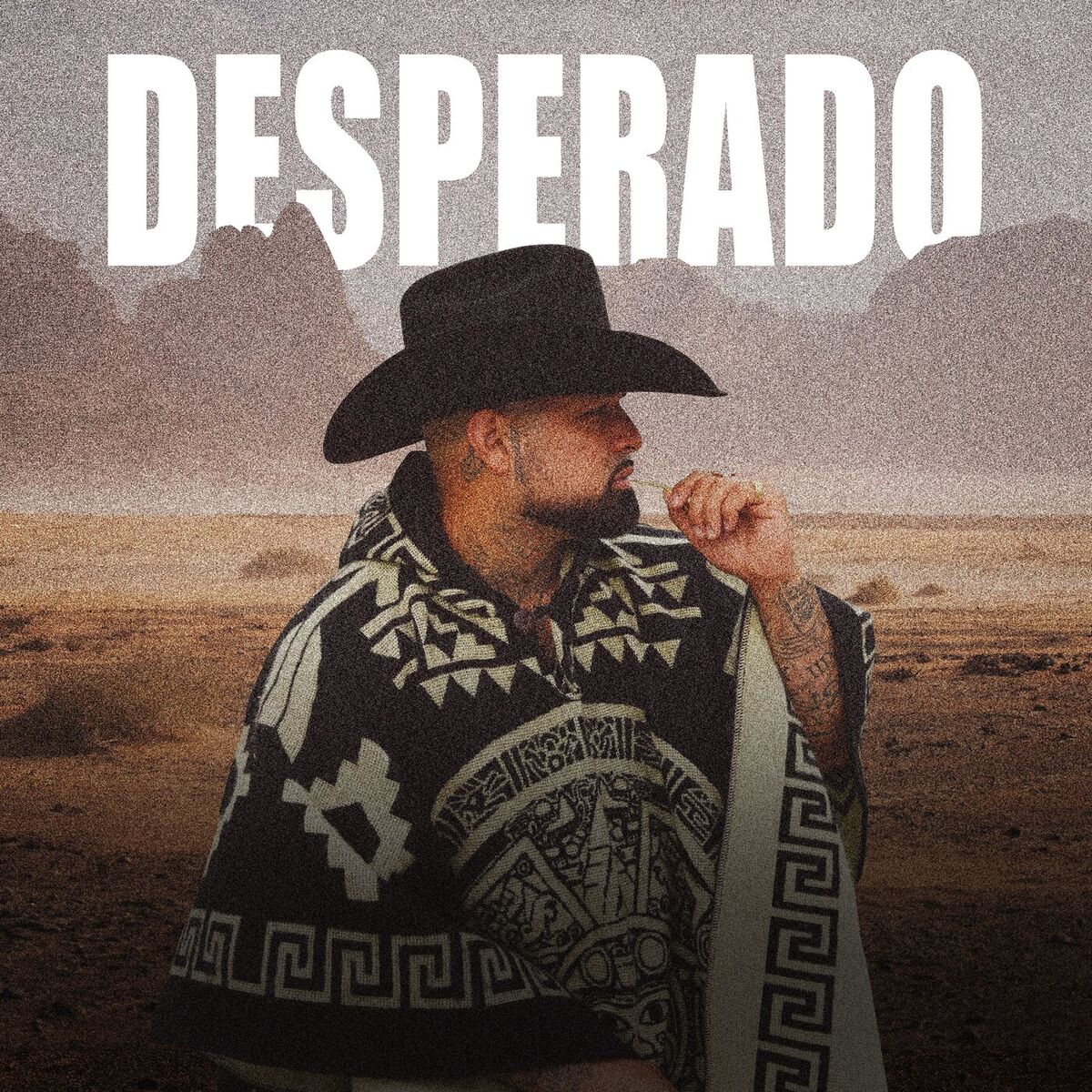 Album cover of Desperado