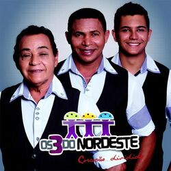 Cover of Coração Dividido (Ao Vivo)