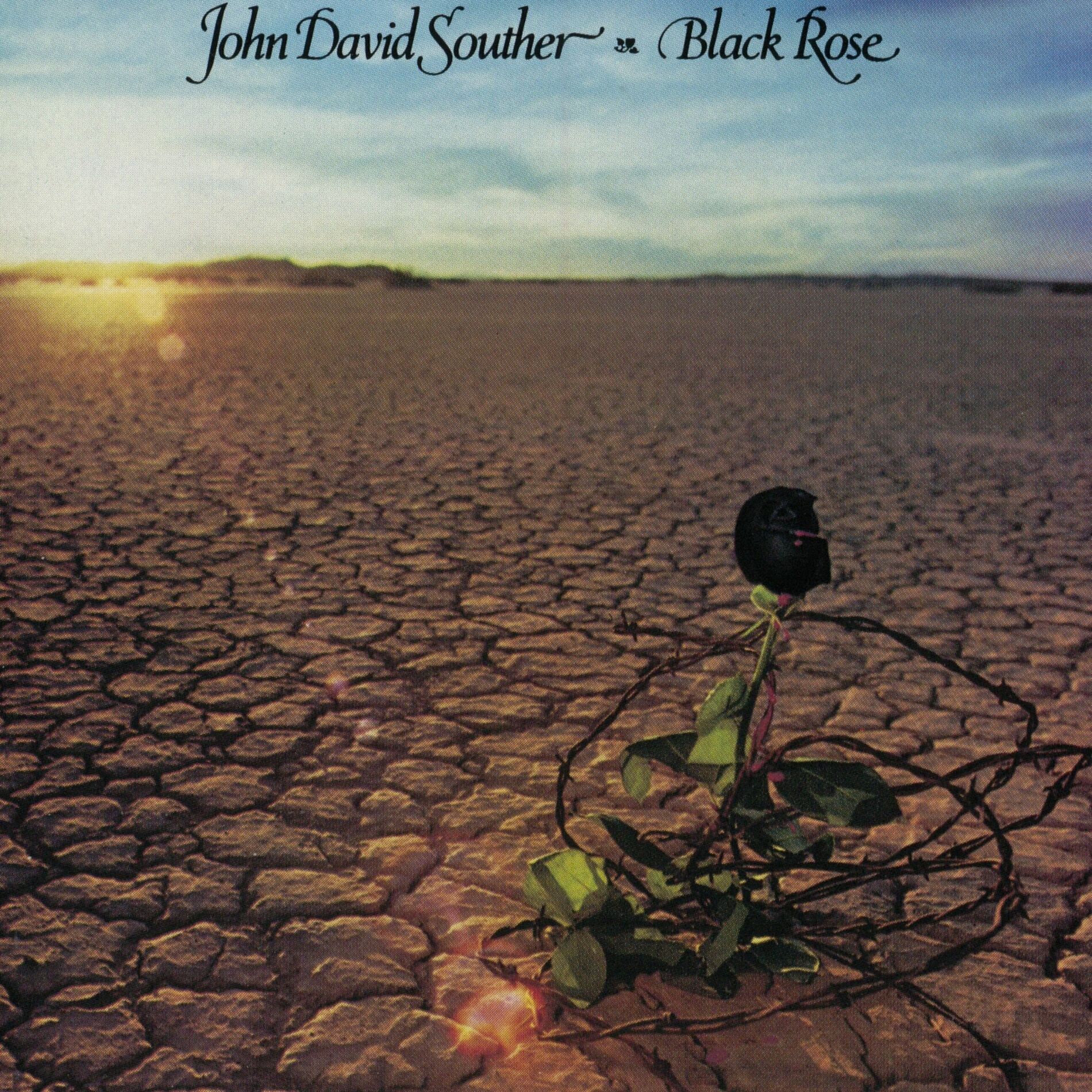 Album cover of Black Rose (Expanded Edition)