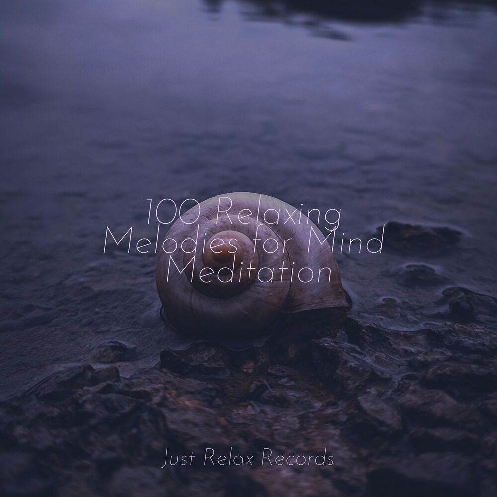 Picture of 100 Relaxing Melodies for Mind Meditation