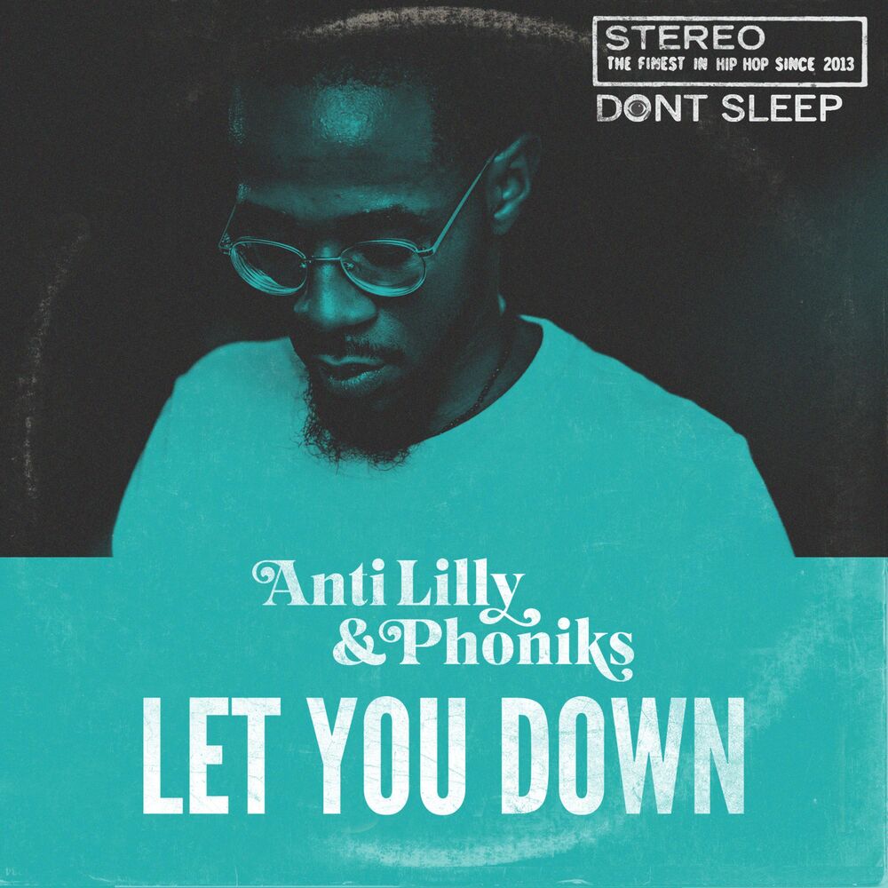 Picture of Let You Down