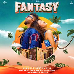 Cover of Fantasy