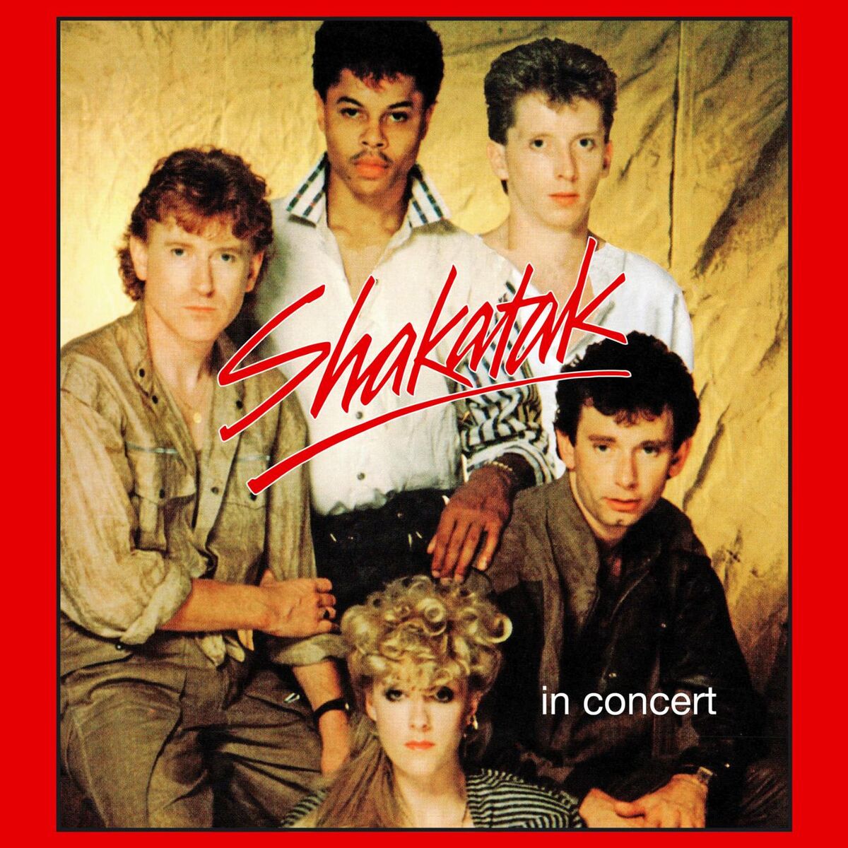 Album cover of Shakatak in Concert