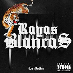 Cover of Rayas Blancas