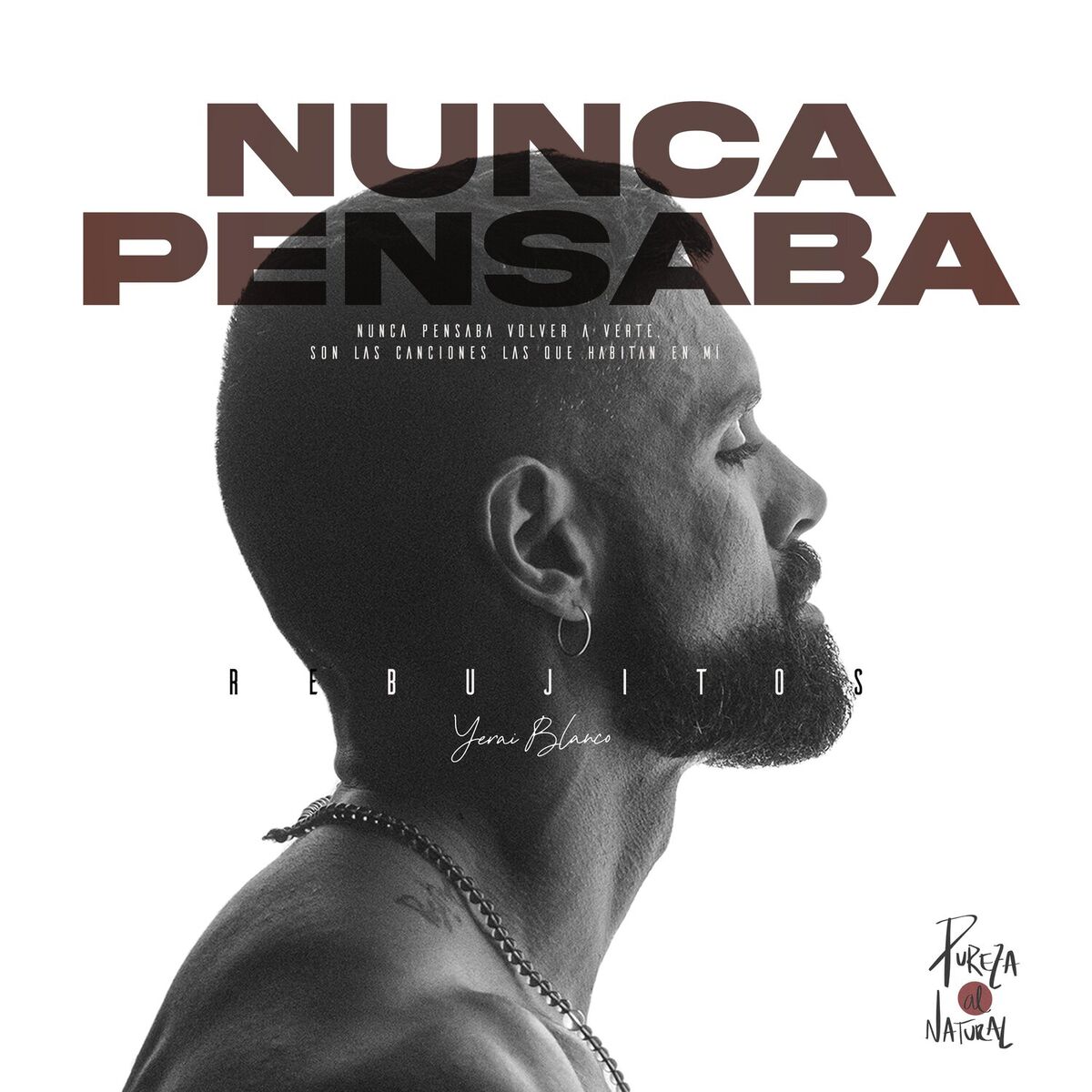 Album cover of Nunca pensaba