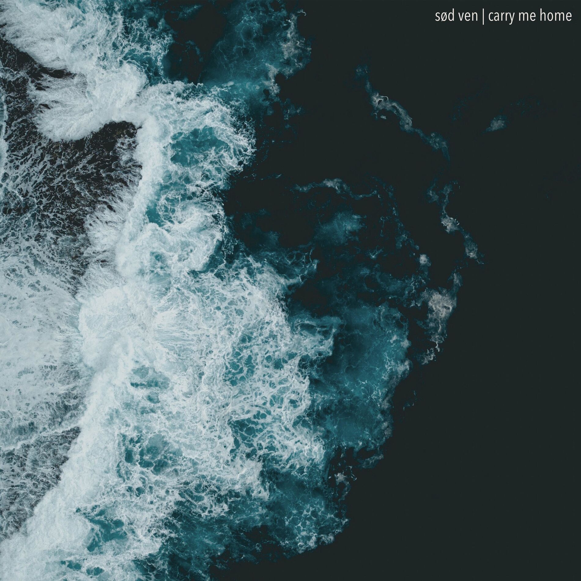Album cover of carry me home