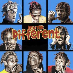 Cover of Different, Vol. 1